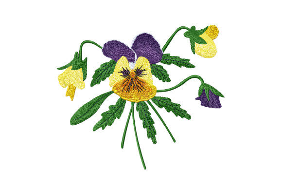 Bouquet of Pansies