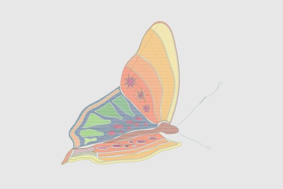Bright November Butterfly