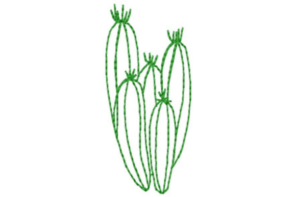 Southwestern Cactus Outline
