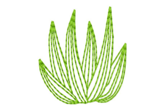 Succulent Leaves Outline
